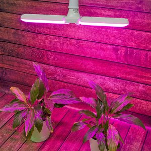 LED-P65-16W-SPSB-E27-FR-P2 PLP32WH Лампа светодиодная для растений. Форма P лепестковая. матовая. Спектр для рассады и цветения. Картон. ТМ Uniel