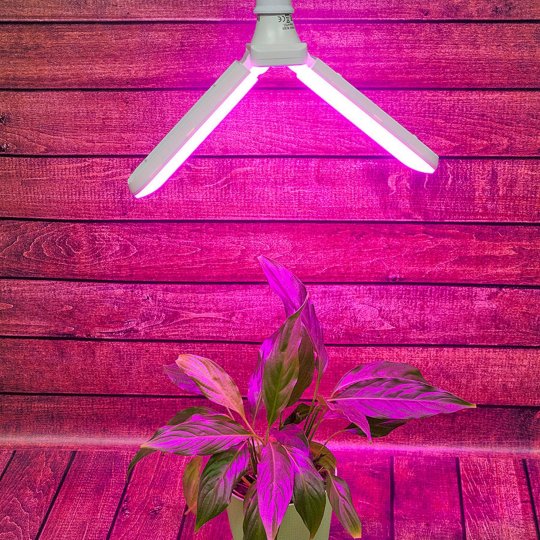 LED-P65-16W-SPSB-E27-FR-P2 PLP32WH Лампа светодиодная для растений. Форма P лепестковая. матовая. Спектр для рассады и цветения. Картон. ТМ Uniel