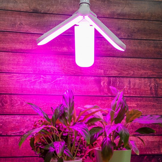 LED-P65-24W-SPSB-E27-FR-P3 PLP32WH Лампа светодиодная для растений. Форма P лепестковая. матовая. Спектр для рассады и цветения. Картон. ТМ Uniel
