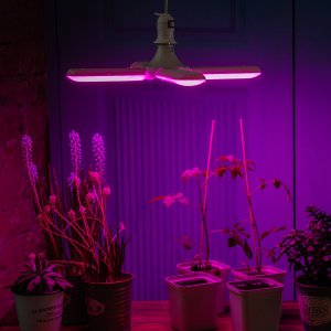 LED-P65-32W-SPSB-E27-FR-P4 PLP32WH Лампа светодиодная для растений. Форма P лепестковая. матовая. Спектр для рассады и цветения. Картон. ТМ Uniel